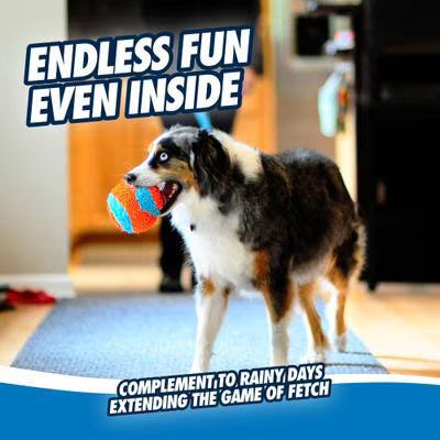 Chuckit! Indoor Ball Dog Toy