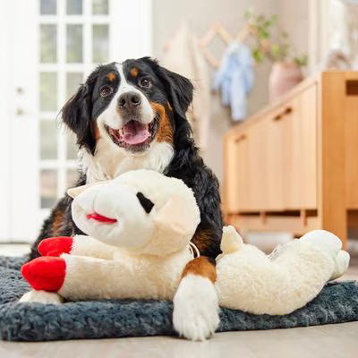 Multipet Lamb Chop Squeaky Plush Dog Toy, Regular