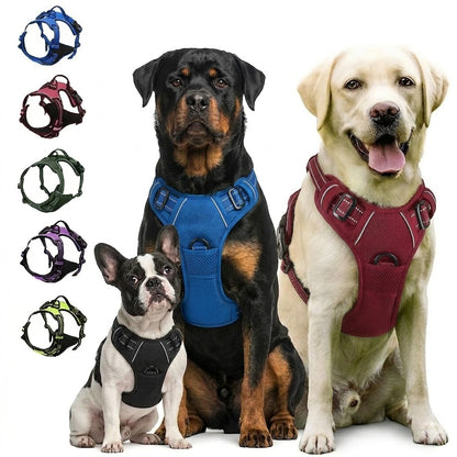 Dog Collars Harness Big Vests Leash
