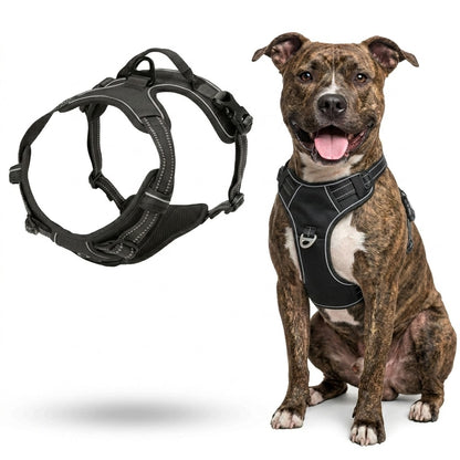 Dog Collars Harness Big Vests Leash