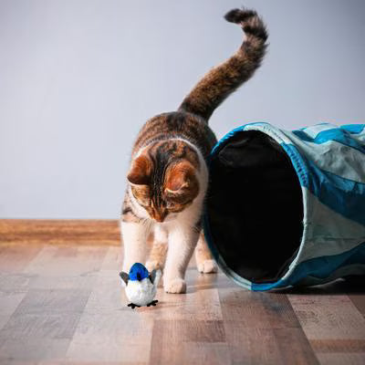 Pet Fit For Life Flapping Bird Interactive Cat Toy, Blue