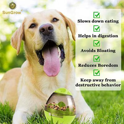 SunGrow Boredom & Separation Anxiety Relief Stimulation Treat Dispensing Cat & Dog Toy
