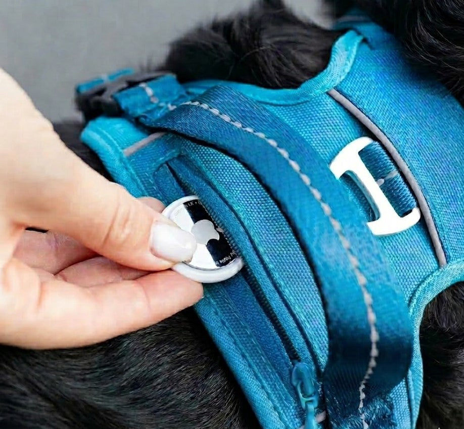 Dog Collars Harness Big Vests Leash