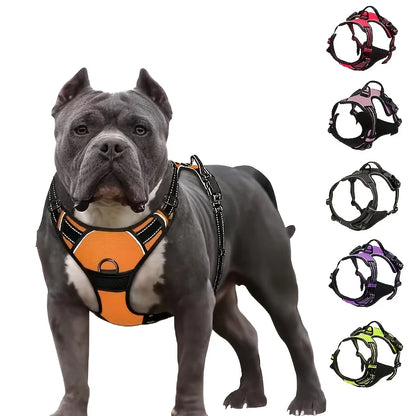 Dog Collars Harness Big Vests Leash